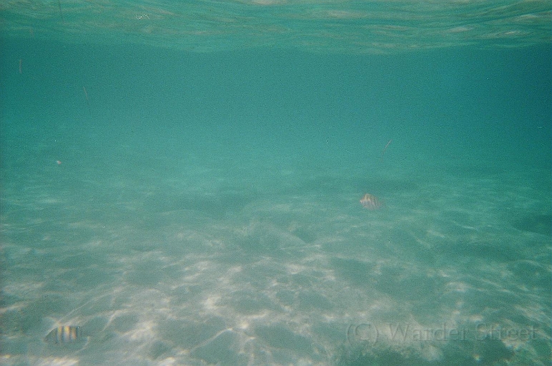 Snorkling At The Baths 06.jpg